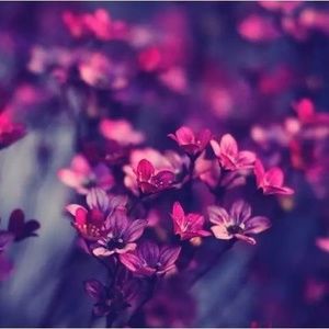 Meet your Posher, Lise-marie